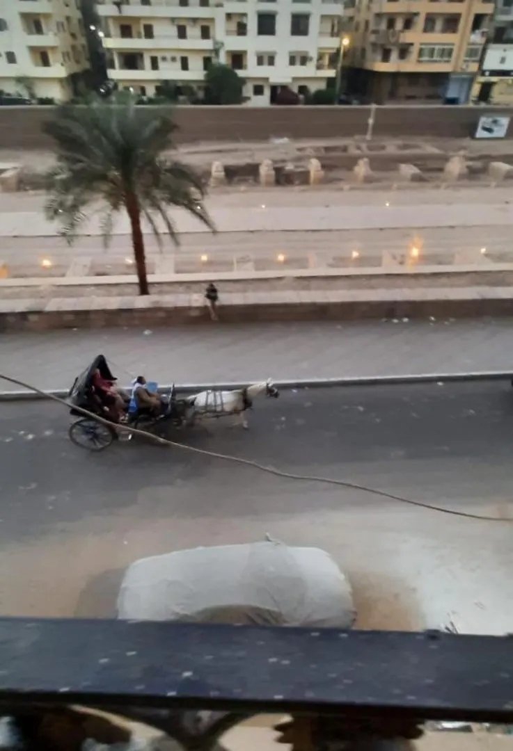 Ferienwohnung Sphinx Avenue Street Luxor